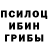 Псилоцибиновые грибы прущие грибы luis castano