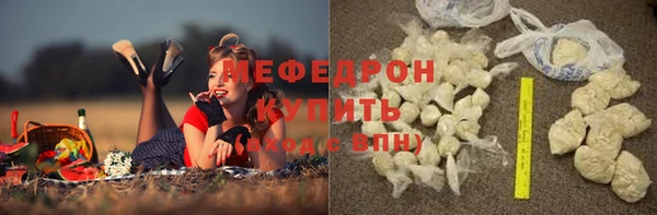 стаф Богданович