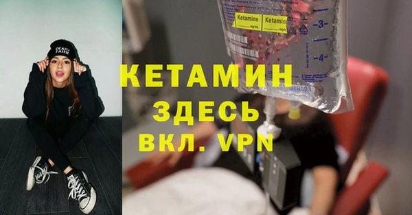 стаф Богданович