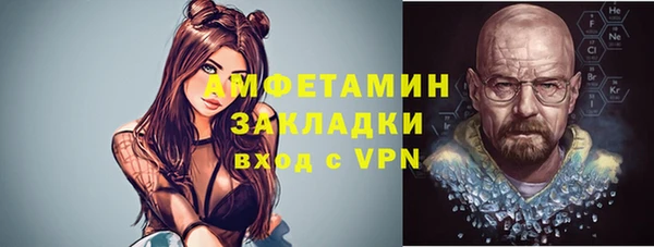 стаф Богданович