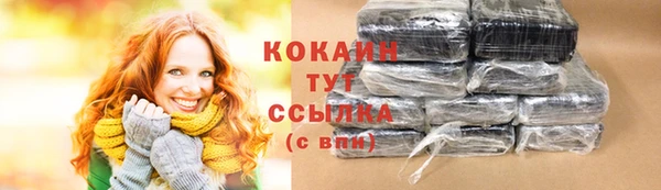 кокс Богородицк