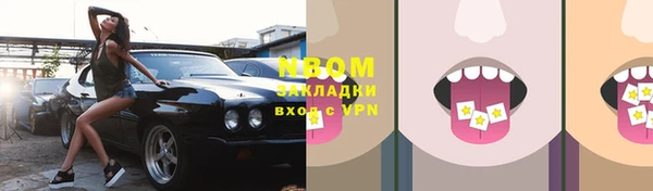стаф Богданович