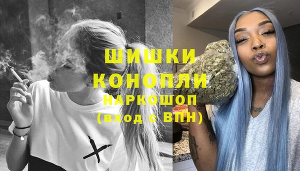 стаф Богданович