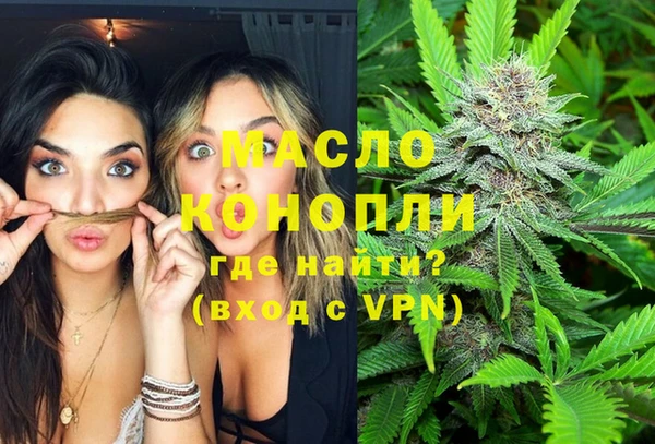 стаф Богданович