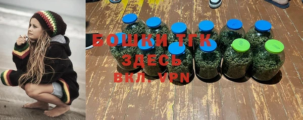 кокс Богородицк